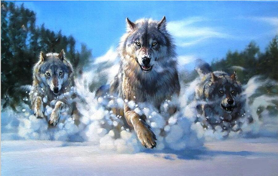 5D diy diamond painting picture of rhinestones canvas paint diamond mosaic embroidery animals snow wolf craft Home decor ST26