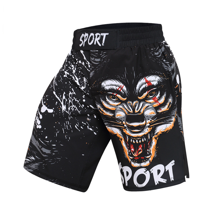 Sports Fitness Sanda Shorts