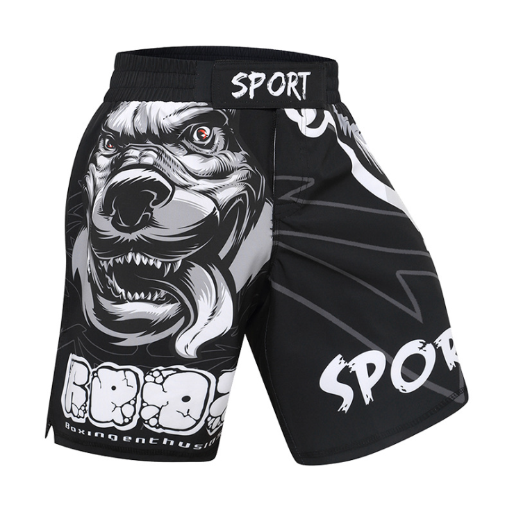 Sports Fitness Sanda Shorts
