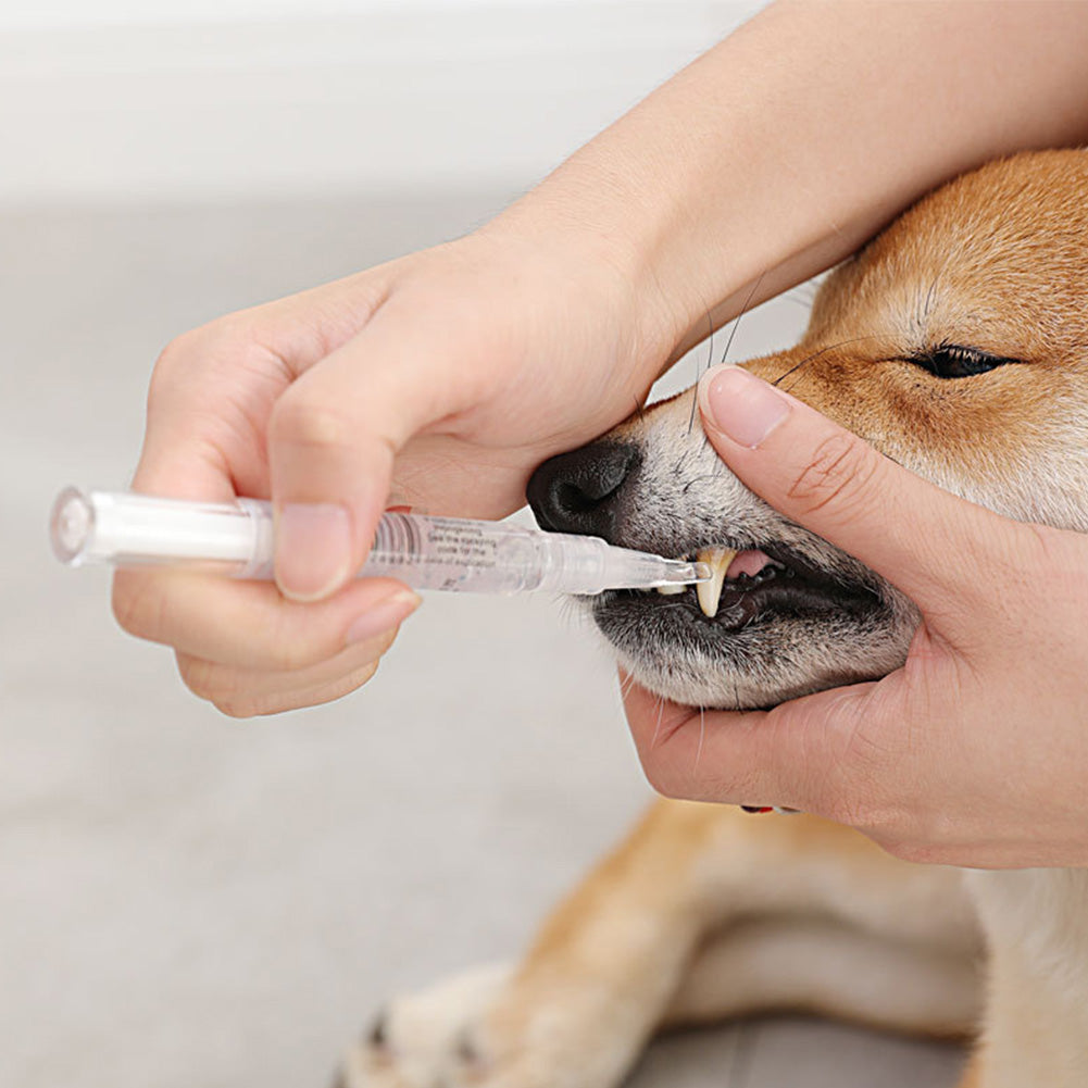Reparationssæt til kæledyrs tænder til hund Kattænderengøringspennesæt