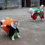 clothes for pets