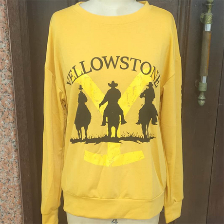 Printed pullover long sleeve top