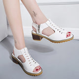 New Chunky Heel Round Toe Hollow-out Side Zipper Sandals Women's Large Size Casual Roman Sandals Women