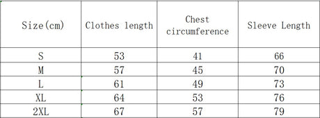 Women's Winter Patchwork Round Neck Raglan Sleeve Contrast Color Sweatshirt