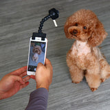 Pet Selfie Stick Pet Supplies Legetøj Pet Selfie Artefakt