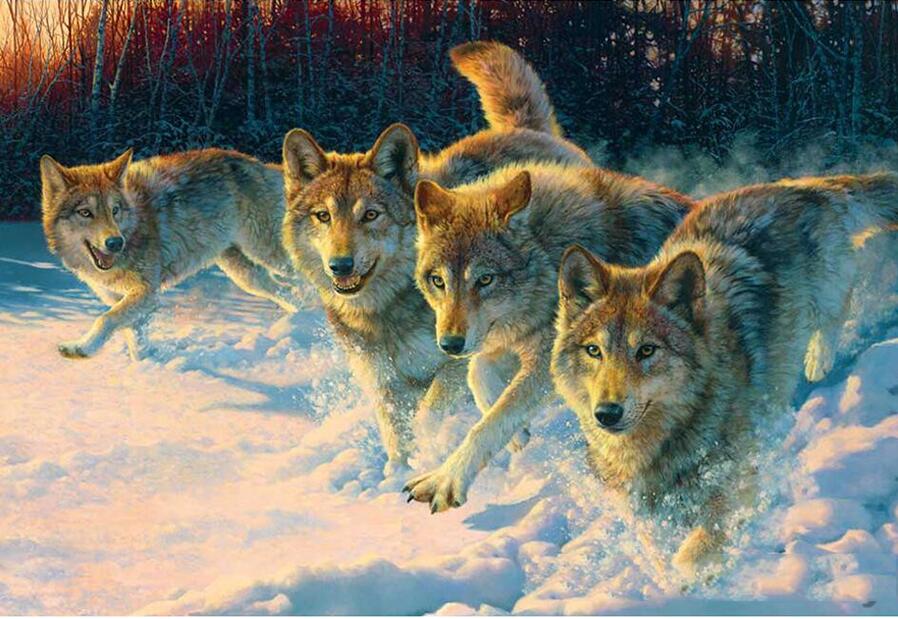 5D diy diamond painting picture of rhinestones canvas paint diamond mosaic embroidery animals snow wolf craft Home decor ST26